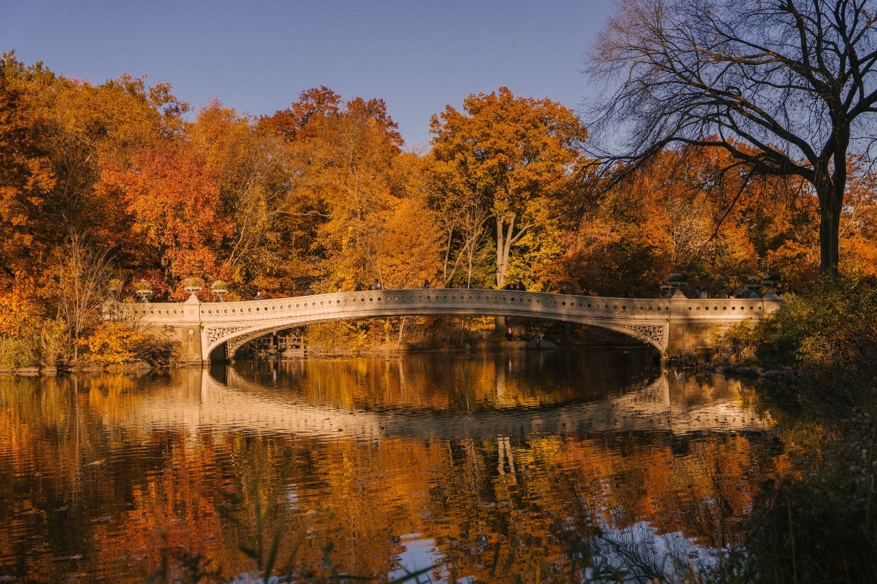 A close up of a bridge over the river in a park, surrounded by trees with orange and yellow leaves.