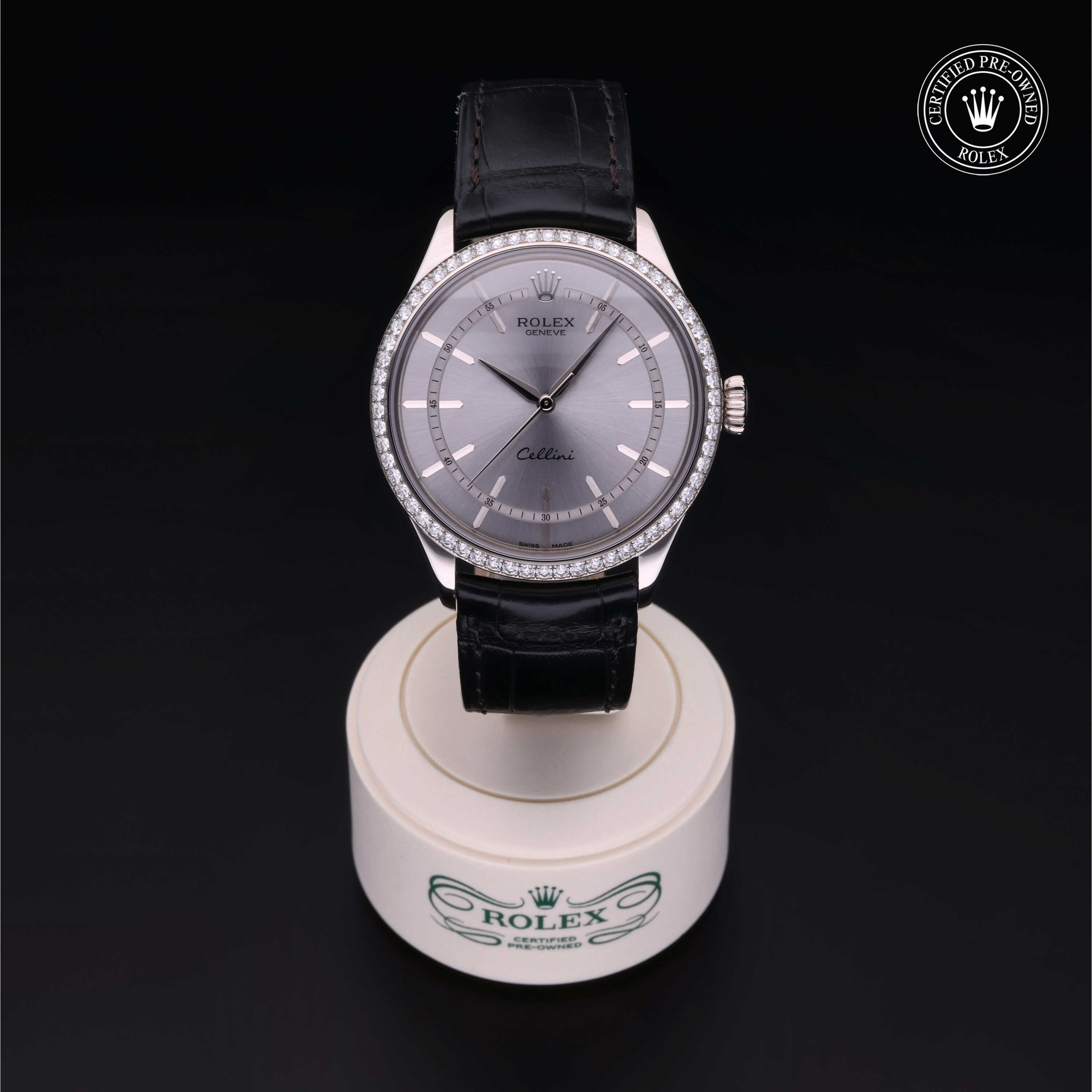Rolex Cellini in Gold 18 Carat White M50709RBR-0010 at Heller Jewelers