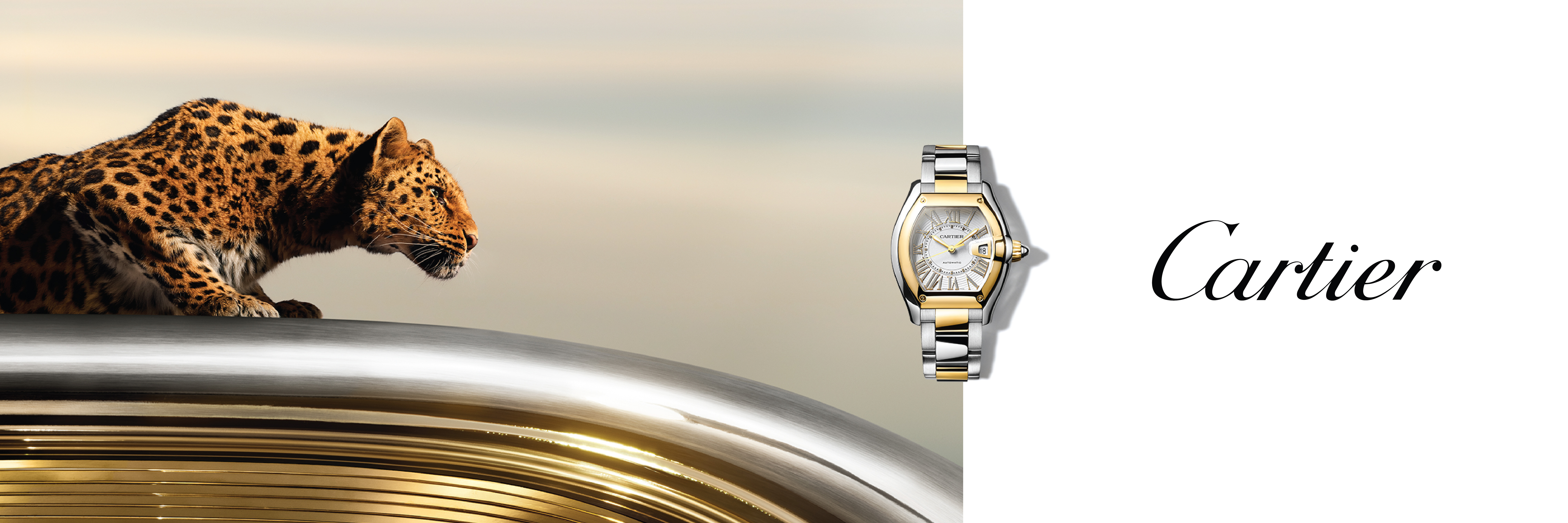 Cartier banner