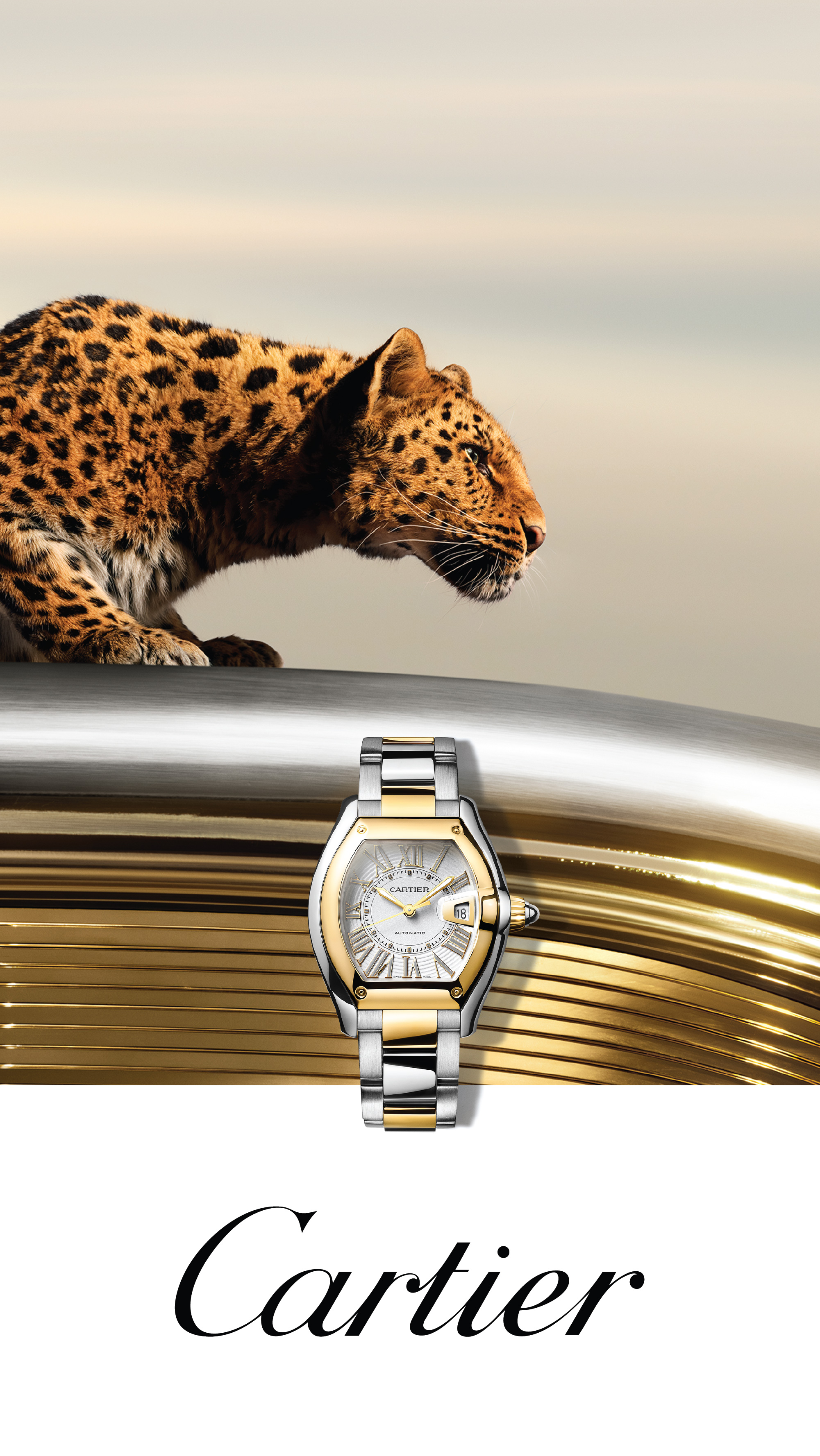 Cartier banner