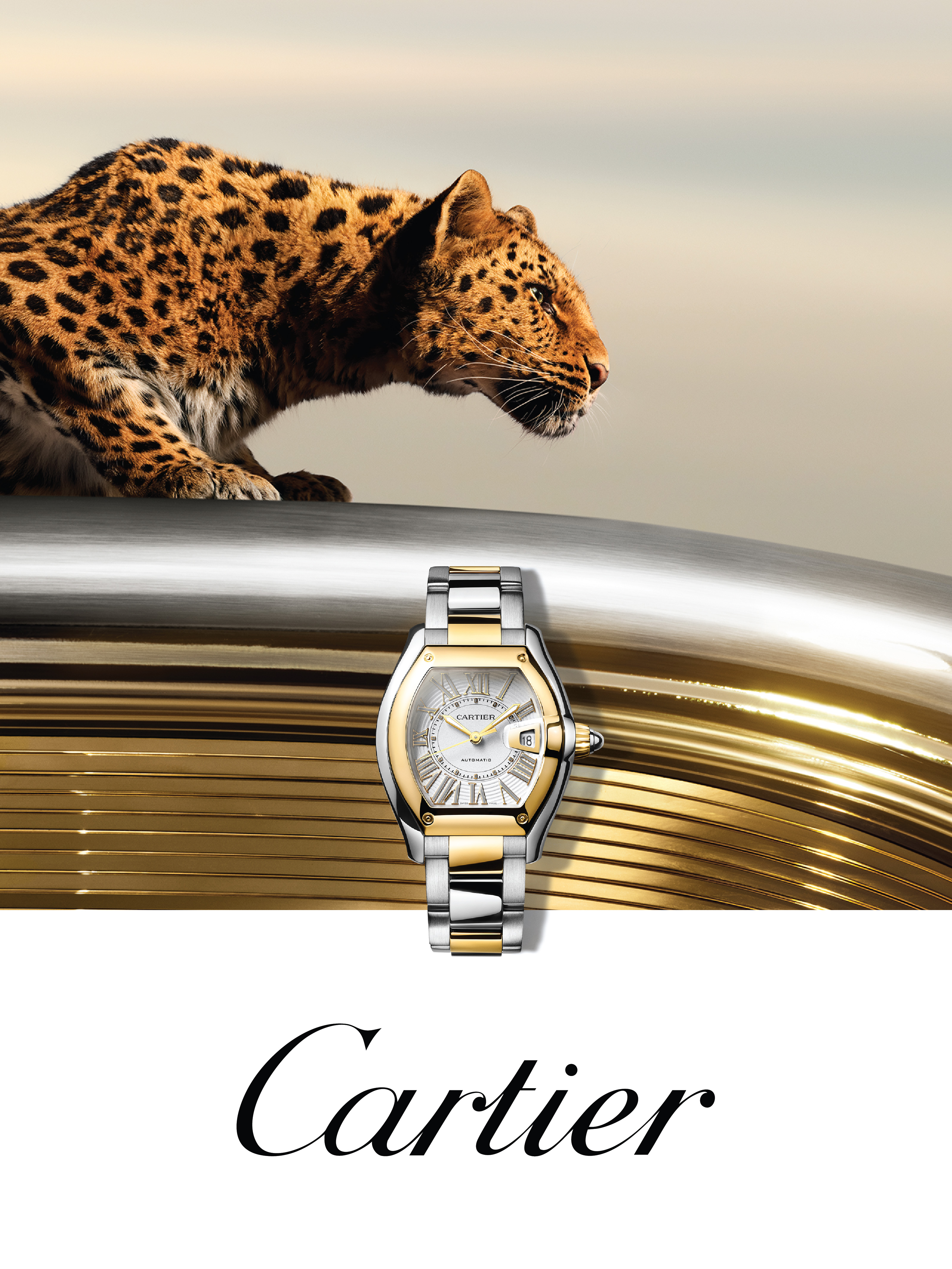 Cartier banner